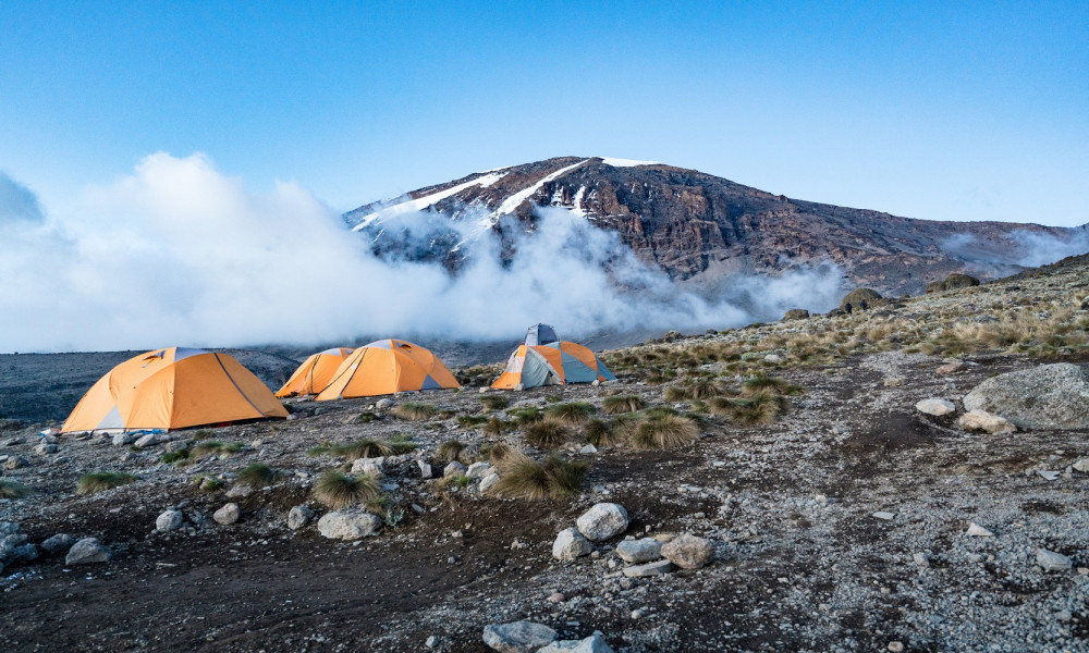 8 day kilimanjaro climb serengeti ngorongoro safari