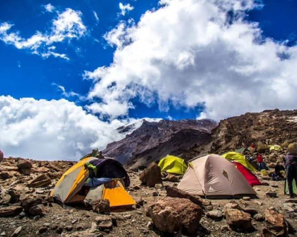 8 day kilimanjaro climb serengeti ngorongoro safari