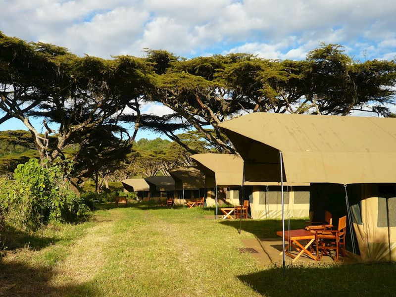 Home: Reggie Africa Safaris